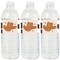 Big Dot of Happiness My First Rodeo - Little Cowboy 1st Birthday Party Water Bottle Sticker Labels - Set of 20